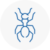 Ant Removals In Flackwell Heath