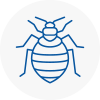 Bed Bug Extermination In Flackwell Heath
