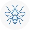 Flackwell Heath Hornet Nest Removals