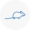 Mice Exterminators In Flackwell Heath