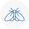Moth Control Specialists In Flackwell Heath
