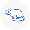 Rat Control Flackwell Heath