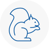 Flackwell Heath Rodent Removals